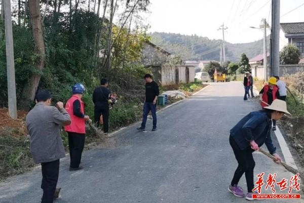 浏阳葛家：志愿者共助力村庄清洁百日行动2.jpg