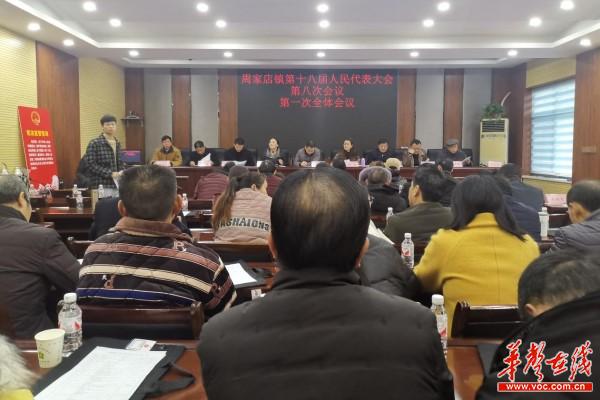 周家店镇：履行人大职责，票决参与民生4.jpg