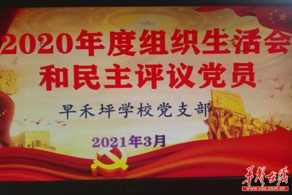 忆初心、求团结、齐奋进——早禾坪学校党支部开展组织生活会和民主评议党员会议1.jpg